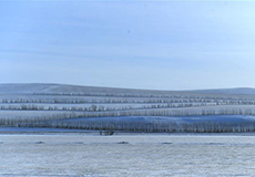 ?????? ?????????? ???????? ????? ?????